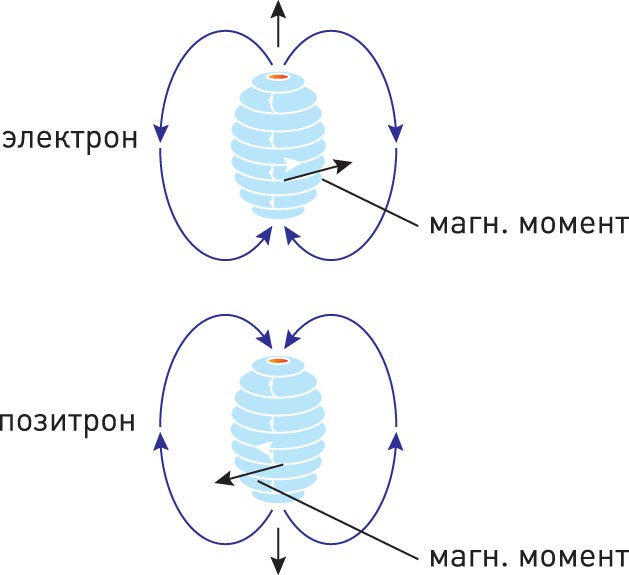 Магнитные моменты электрона и позитрона