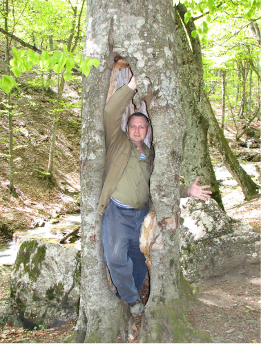 Уткин в Крыму работает с энергией дерева